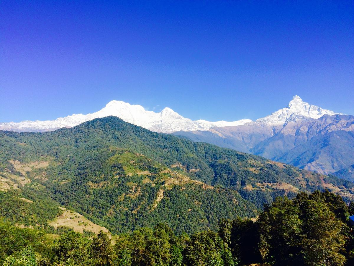 Aroma Tourist Hostel Pokhara Eksteriør billede