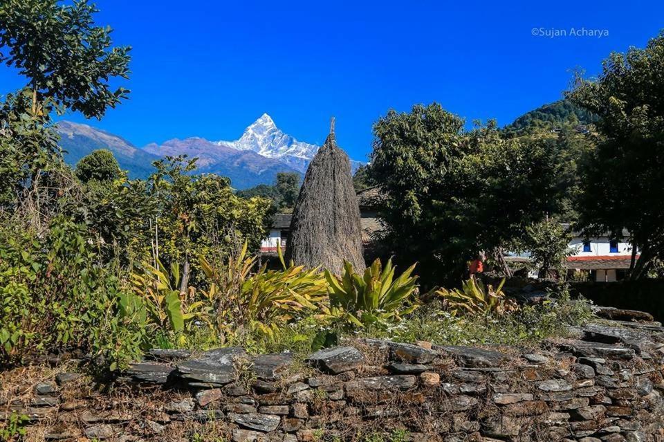 Aroma Tourist Hostel Pokhara Eksteriør billede